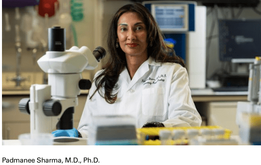 What is the future of&nbsp;immunotherapy?