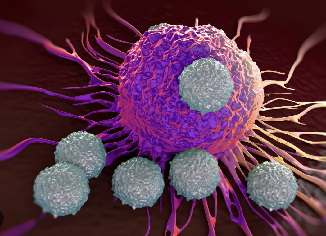 Outcome of Patients With Early-Stage Mismatch Repair Deficient Colorectal Cancer Receiving Neoadjuvant Immunotherapy: A Systematic&nbsp;Review